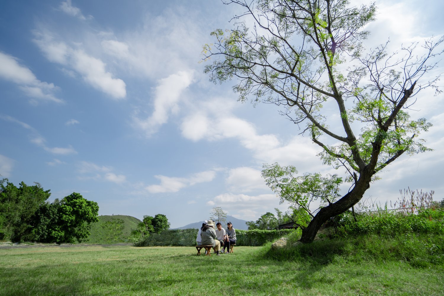 Hei Hei Savanna  - Car Camping