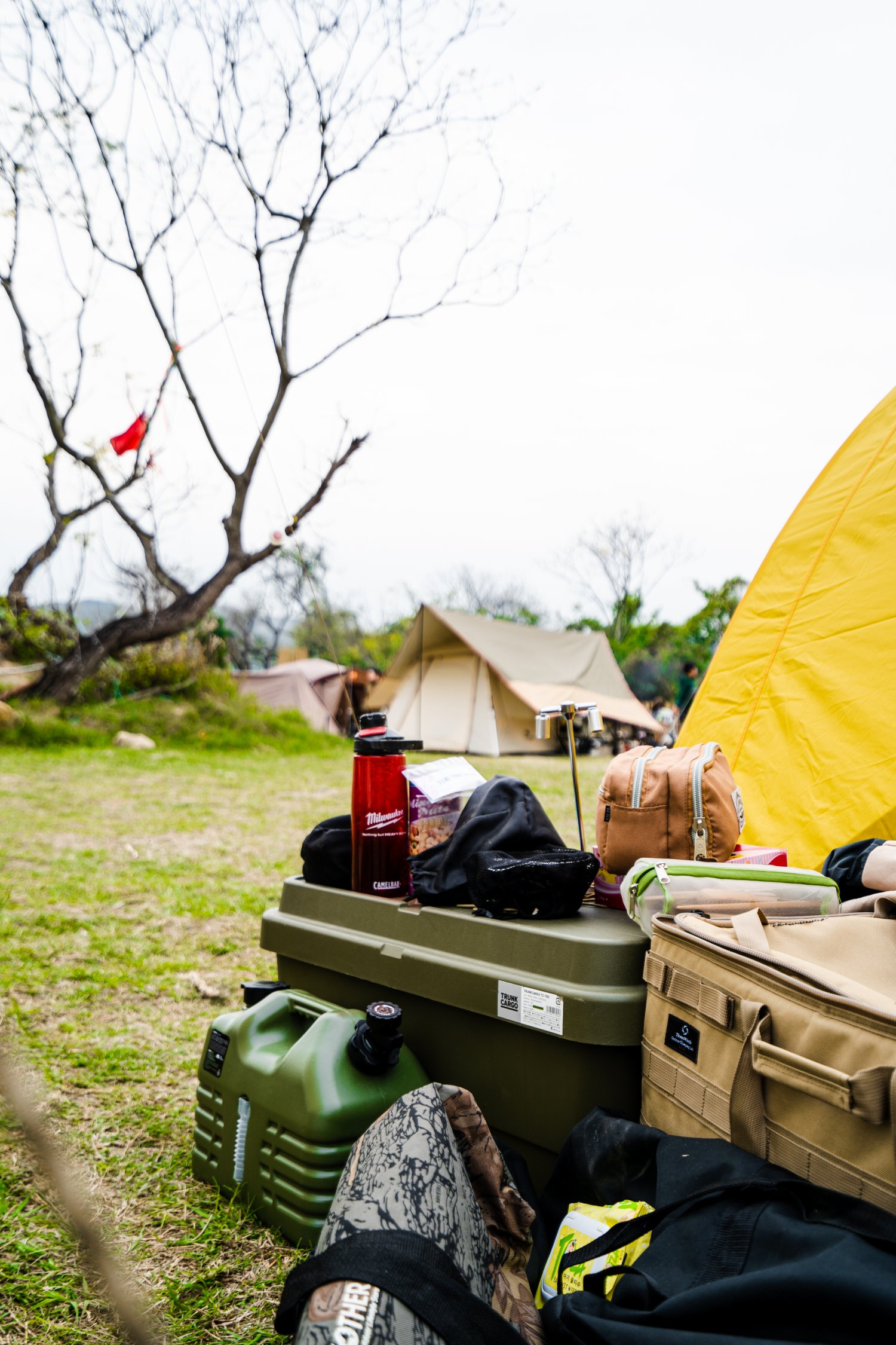 Hei Hei Savanna  - Car Camping